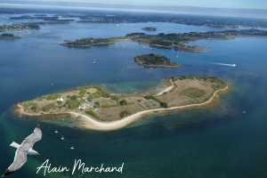 Presqu'île photos 44